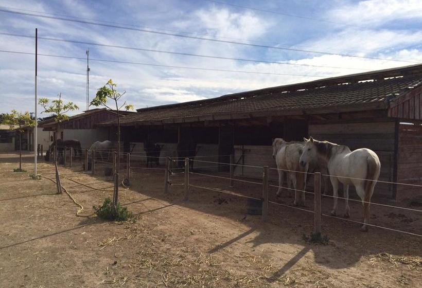 בית מלון כפרי El Rancho Los Montesinos - Torrevieja