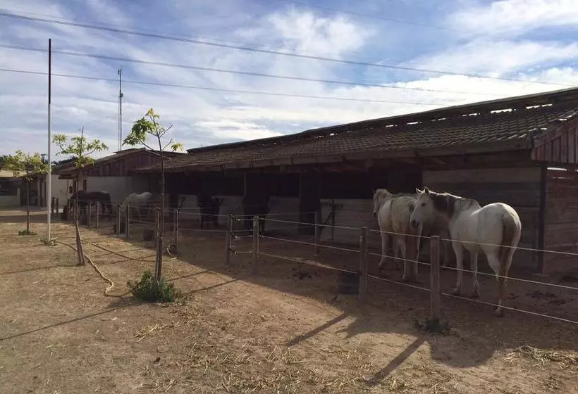 هتل El Rancho Los Montesinos - Torrevieja