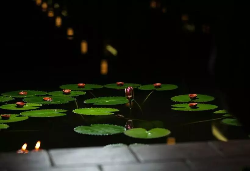 リゾートホテル Sukhayus Wellness Ayurveda Retreat