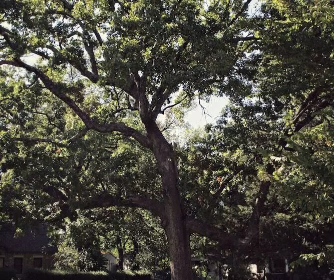 The Victoria Bed & Breakfast