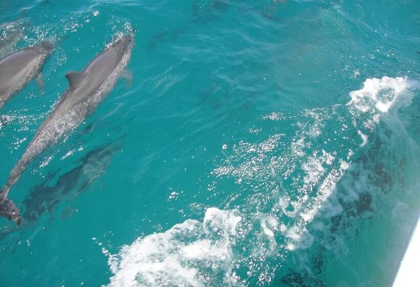 Bed and Breakfast Pousada Martins E Cia