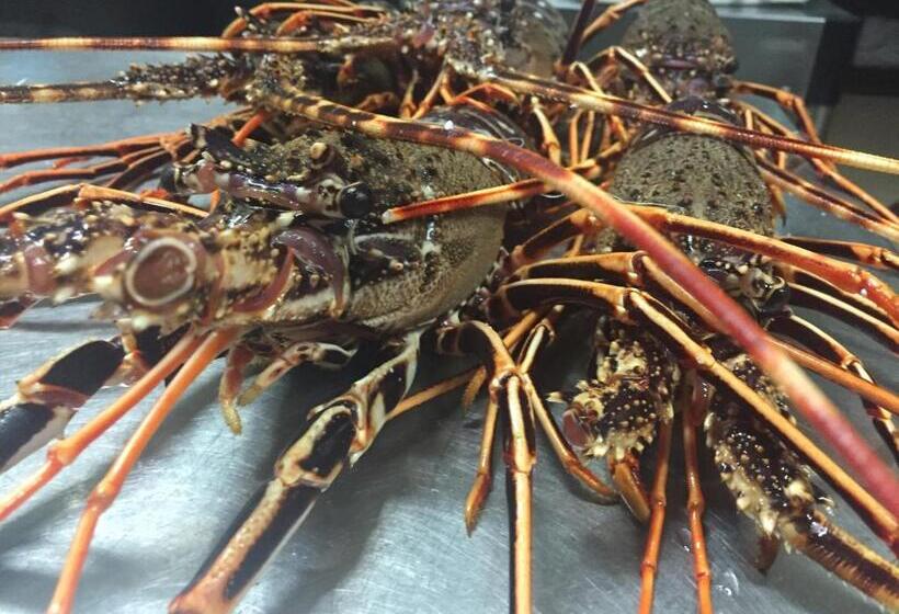 צימר Residenza Hostaria Del Pavone