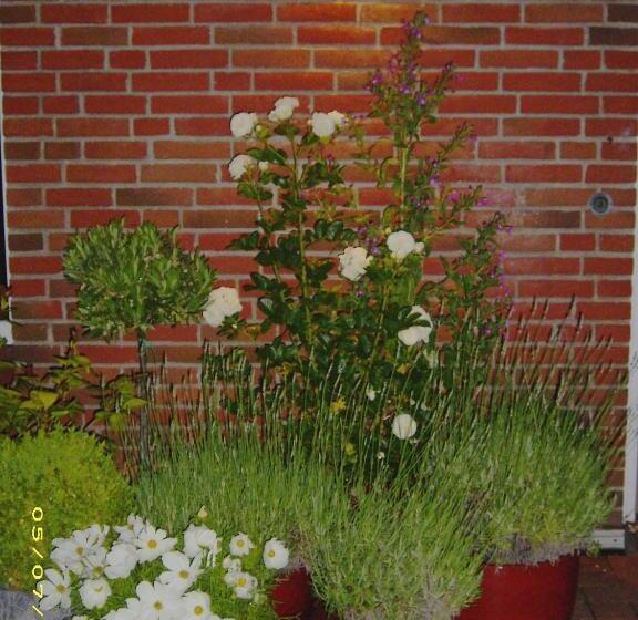 酒店 Landgasthof Waabs Mühle