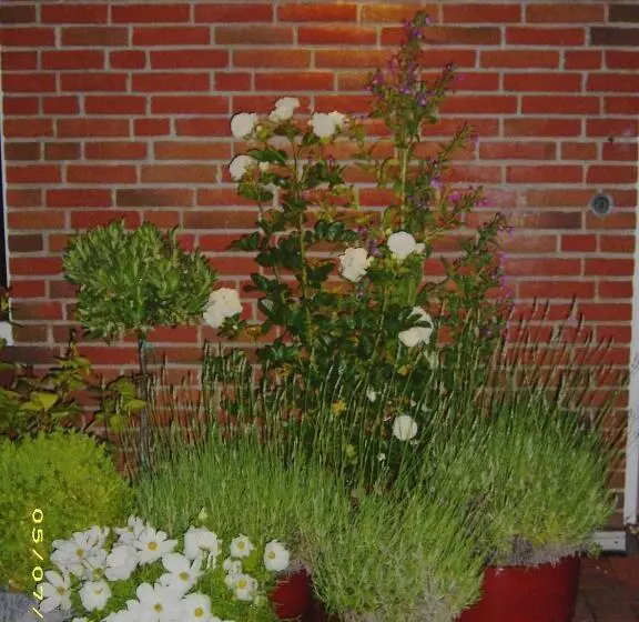 ホテル Landgasthof Waabs Mühle