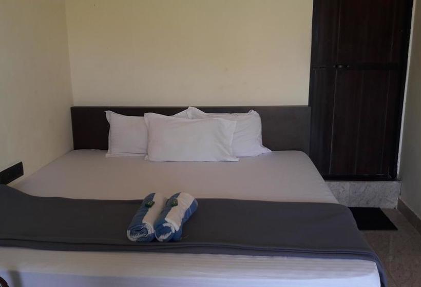 Bed and Breakfast Francisco Sunshine