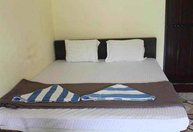 Bed and Breakfast Francisco Sunshine