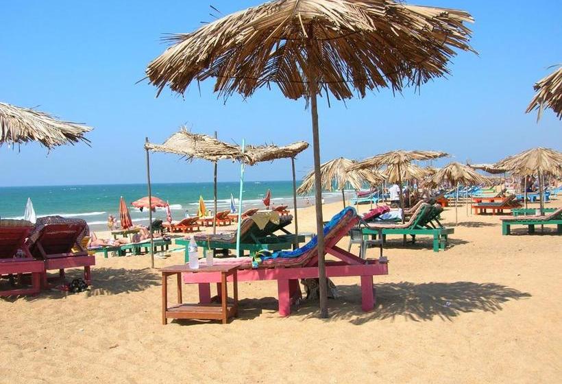 Bed and Breakfast Francisco Sunshine