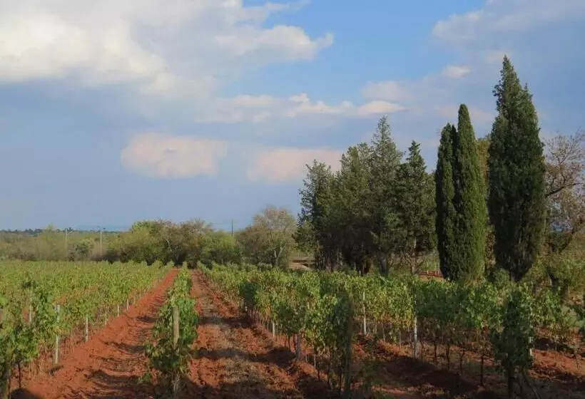 Bed And Breakfast La Grande Lauzade