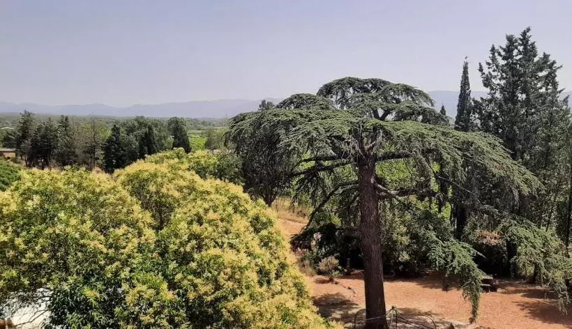 Bed And Breakfast La Grande Lauzade