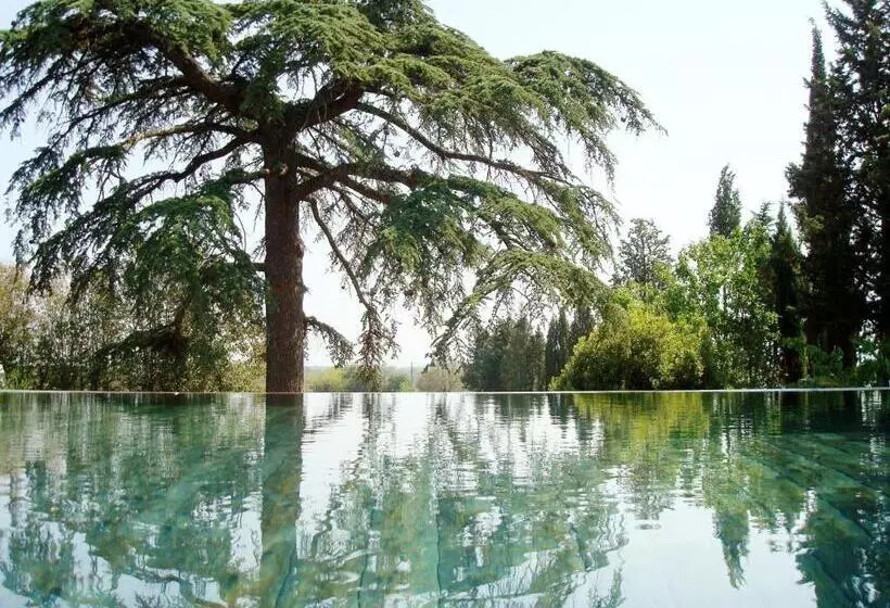 Bed And Breakfast La Grande Lauzade