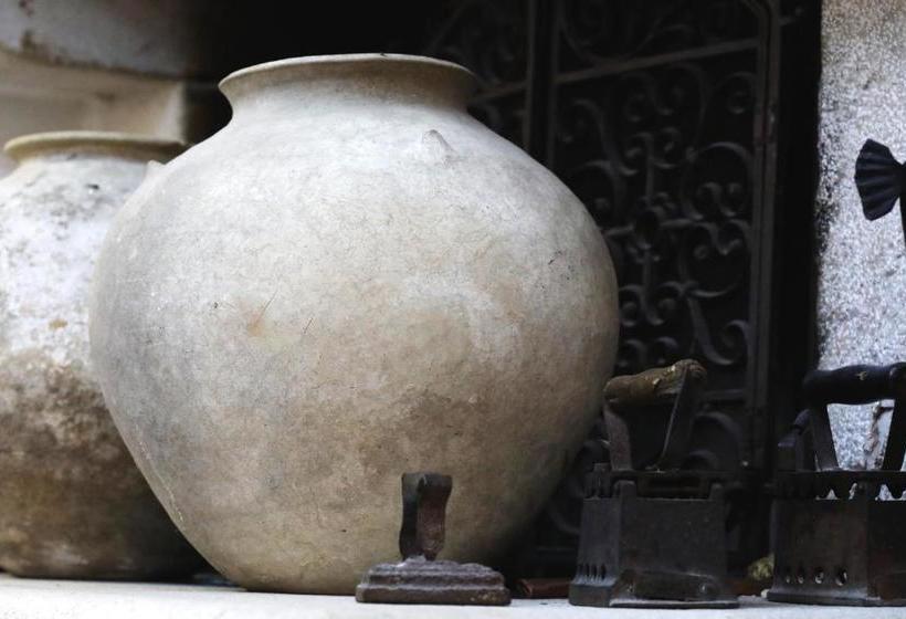 住宿加早餐  Le Cese