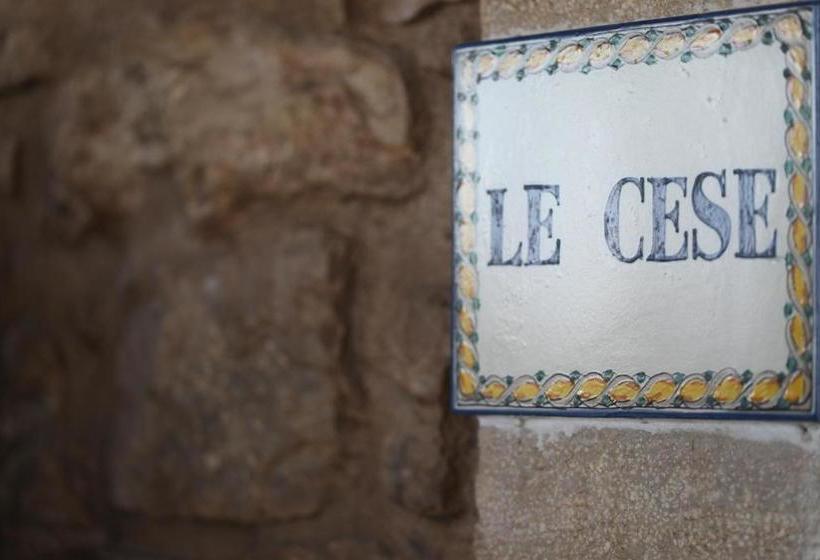 住宿加早餐  Le Cese