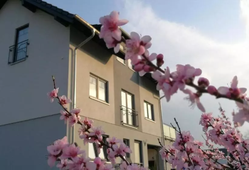 Aamiaismajoitus (B&B) Pension Susanne