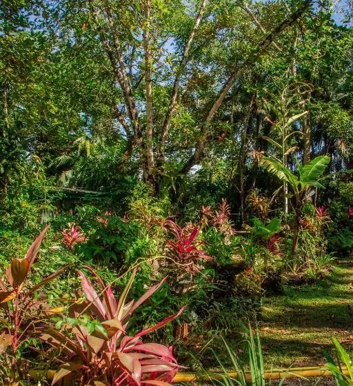 La Palapa Hut Nature Hostel