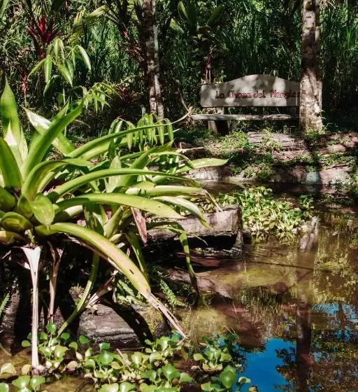 La Palapa Hut Nature Hostel