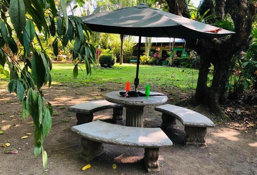 La Palapa Hut Nature Hostel