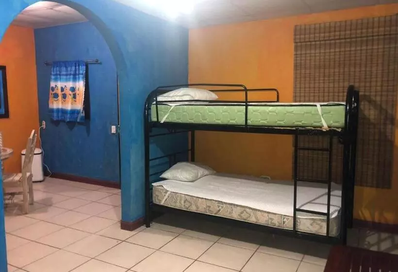 La Palapa Hut Nature Hostel