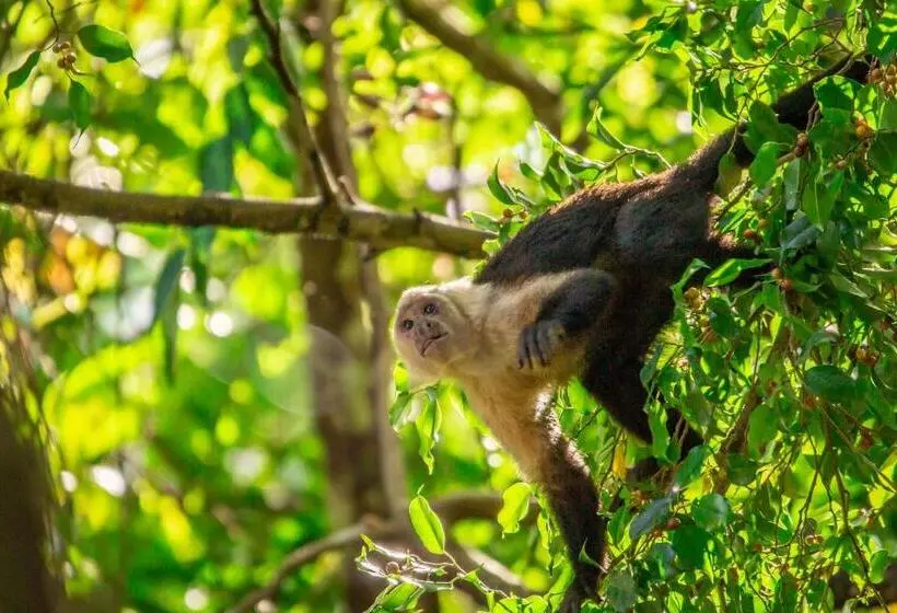 La Palapa Hut Nature Hostel
