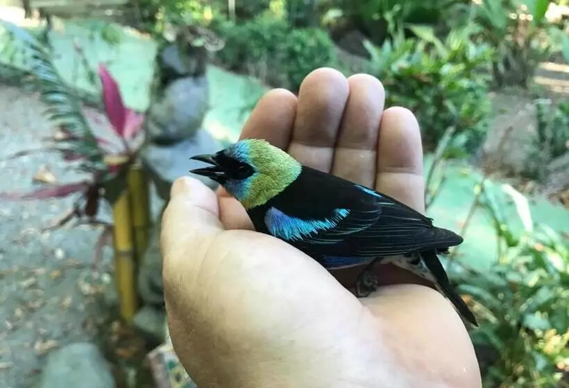 La Palapa Hut Nature Hostel