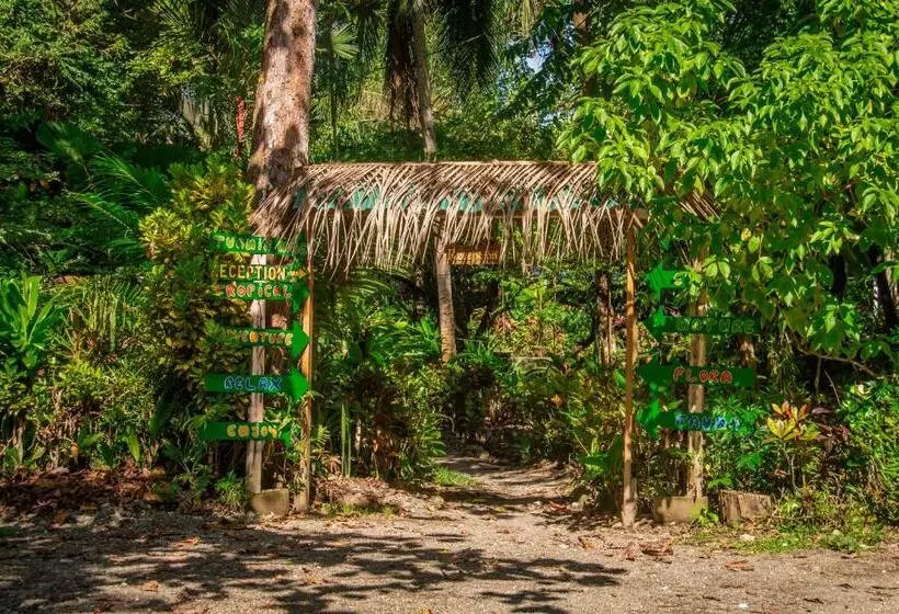 La Palapa Hut Nature Hostel