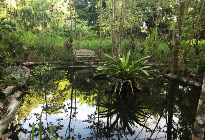 La Palapa Hut Nature Hostel