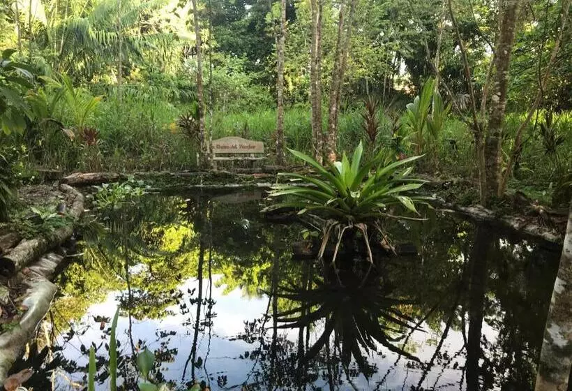 La Palapa Hut Nature Hostel