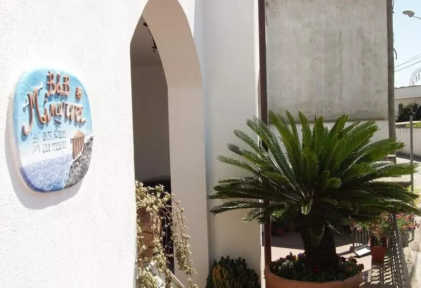 B&b Minerva