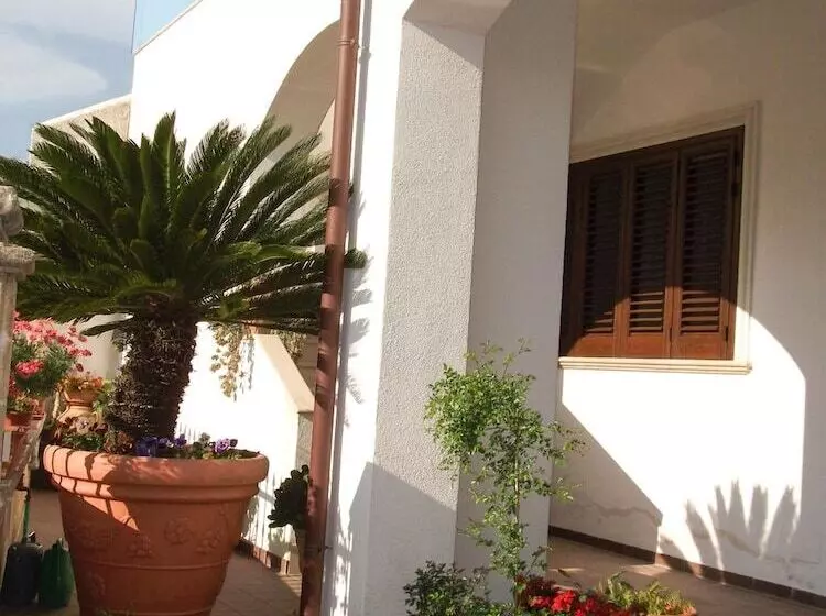 B&b Minerva