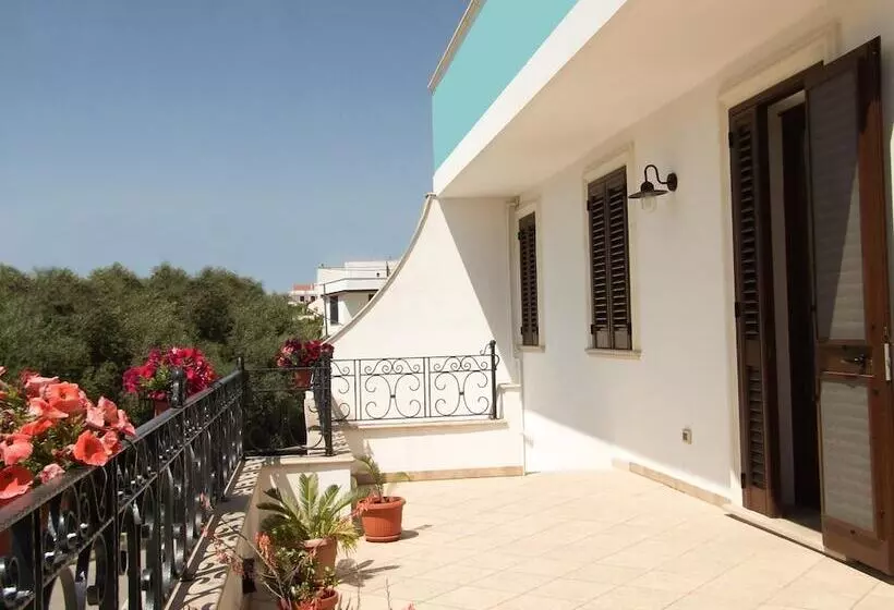 B&b Minerva