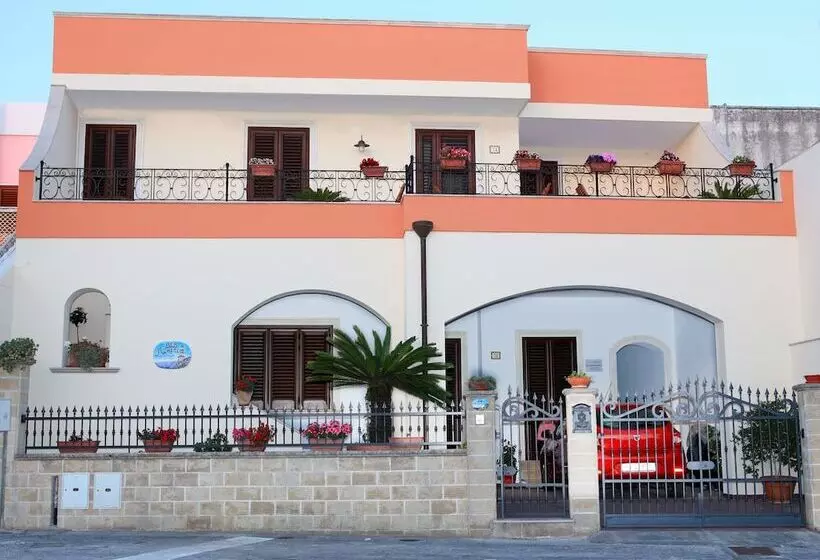 B&b Minerva
