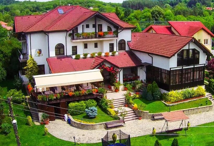 호텔 Casa Domneasca