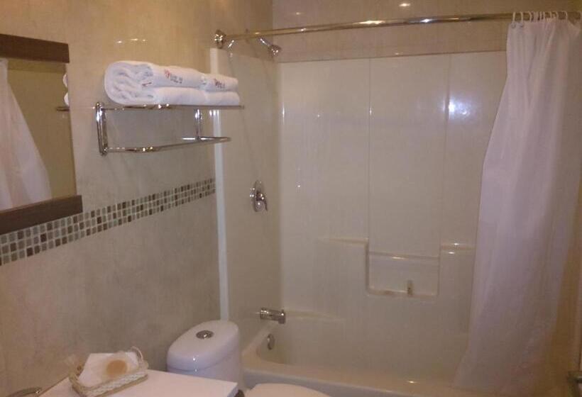 هتل Oliver Inn   Business Class