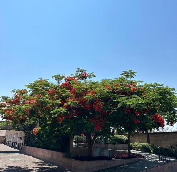 هتل Oliver Inn   Business Class