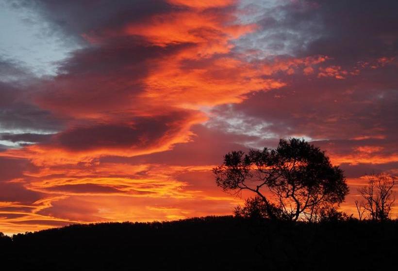 Launceston Apartment Bed And Breakfast Retreat