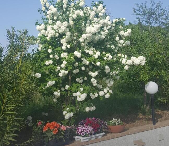 B&b Cuoreverde Pollino