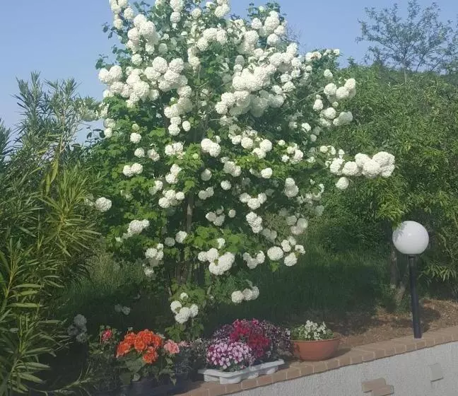 B&b Cuoreverde Pollino