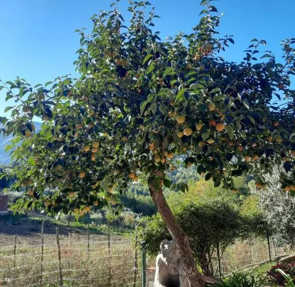 B&b Cuoreverde Pollino