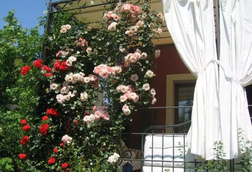 B&b Maison Parco Del Brenta