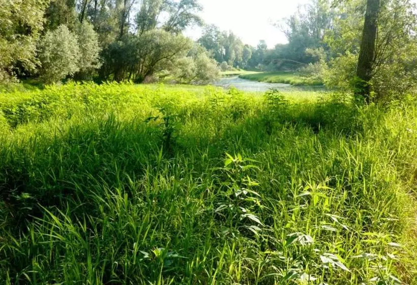 B&b Maison Parco Del Brenta