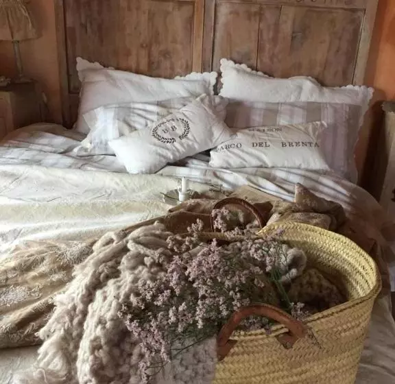 B&b Maison Parco Del Brenta