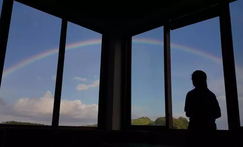 تختخواب و صبحانه Blue Parrot