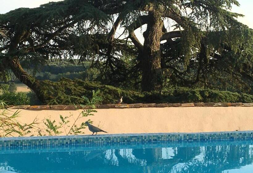 민박 Château De Villeneuve   Montolieu