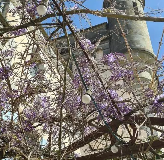 ベッドアンドブレックファースト Château De Villeneuve Montolieu