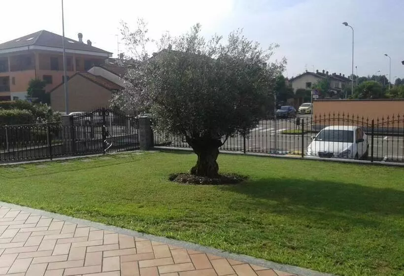 Bed and Breakfast One M