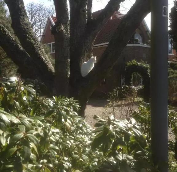 Aamiaismajoitus (B&B) Villa Hoog Duin