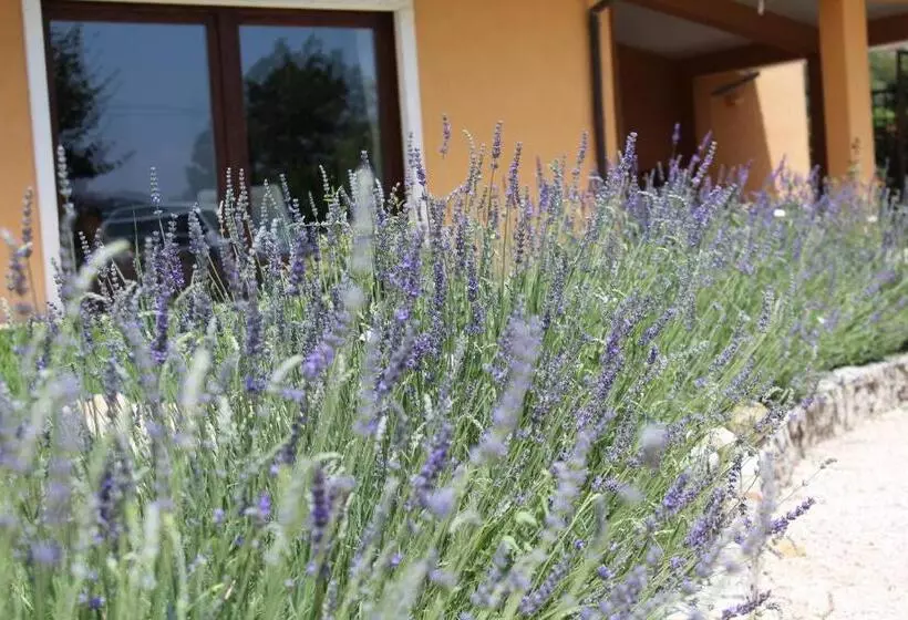 Bed & Breakfast Le Piagge