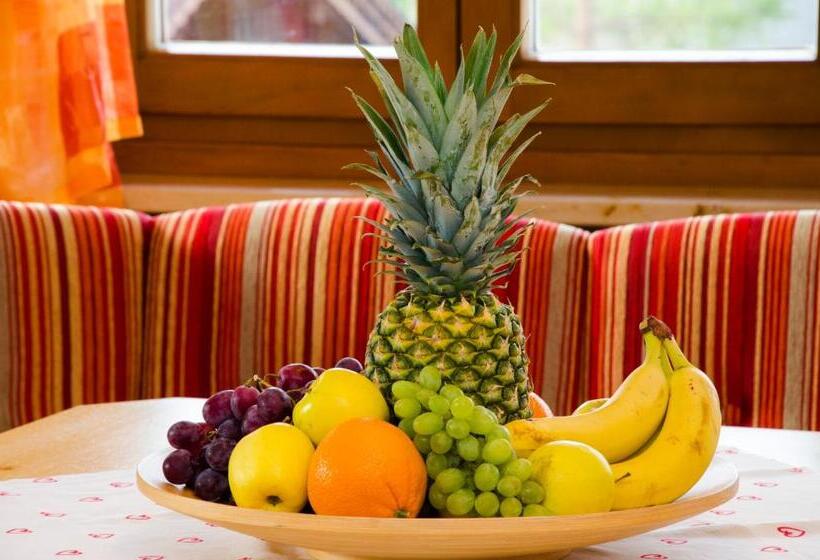 Dachstein West Hotel Gmbh Kirchenwirt Russbach