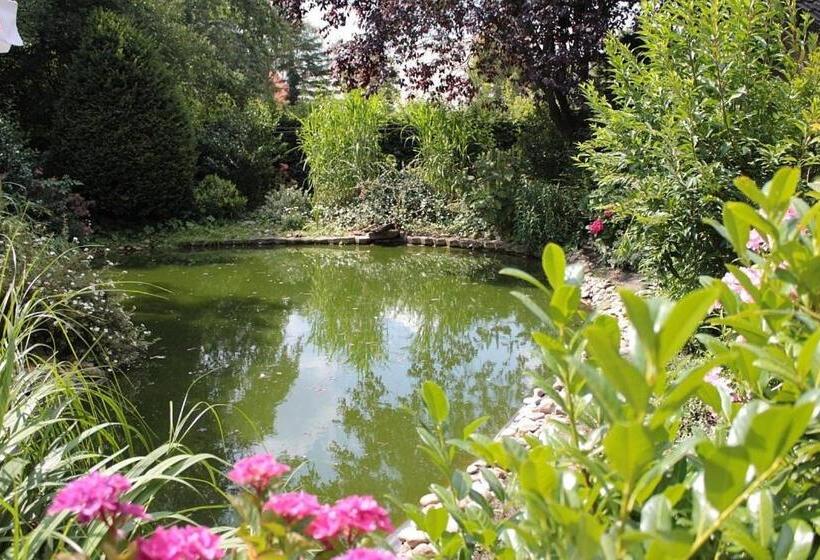 酒店 Altes Gasthaus Greve