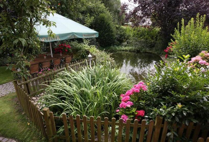 酒店 Altes Gasthaus Greve