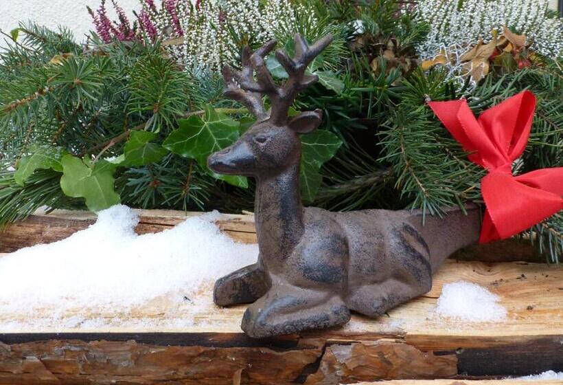 Отель B&b Martha